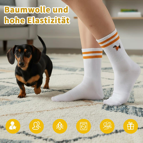 Dackel-Socken – 4 Paar in Größe 36–42 von Jadive