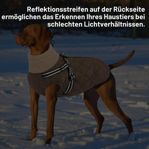 Queenmore Dackel-Wintermantel mit Geschirr, Braun, Größe S