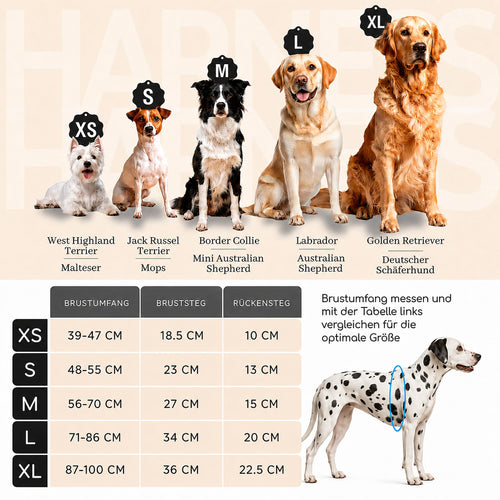 FREUDENTIER Clyde Hundegeschirr, Braun
