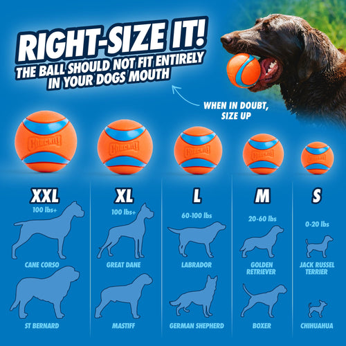 Chuckit! Ultra Ball Medium, 6,5 cm