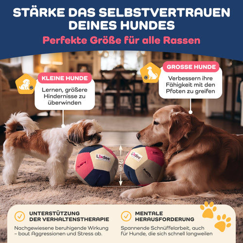 Lixdee DEE.BOL Schnüffelball, 19 cm