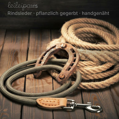LeileiPaws verstellbare Hundeleine, Kaki, 3 m
