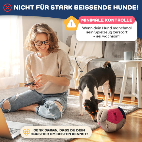 Lixdee DEE.BOL Schnüffelball, 19 cm