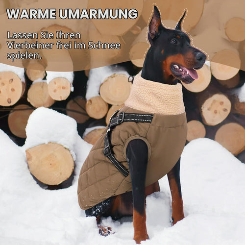 Queenmore Dackel-Wintermantel mit Geschirr, Braun, Größe S