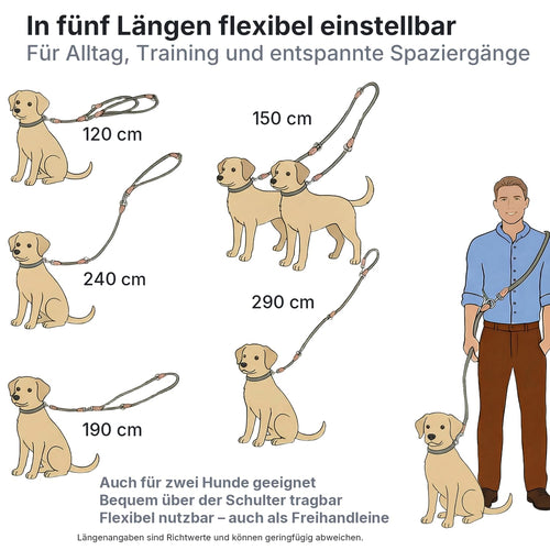 LeileiPaws verstellbare Hundeleine, Kaki, 3 m