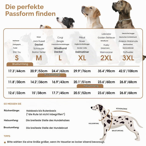 Queenmore Dackel-Wintermantel mit Geschirr, Braun, Größe S