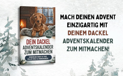 Dein Dackel-Adventskalender zum Mitmachen – Buchfaktur Verlag