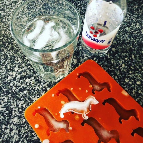 Dackel-Eiswürfelform aus Silikon – für 9 Dackel
