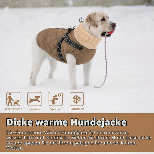 Queenmore Dackel-Wintermantel mit Geschirr, Braun, Größe S