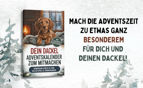 Dein Dackel-Adventskalender zum Mitmachen – Buchfaktur Verlag