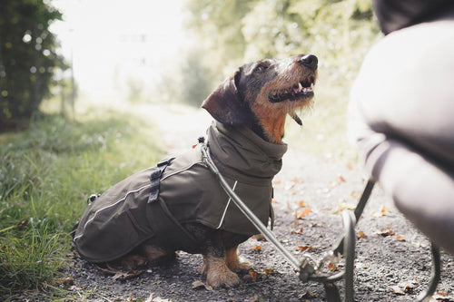 HUNTER NORDBY Dackel-Hundemantel, Oliv, Größe 33