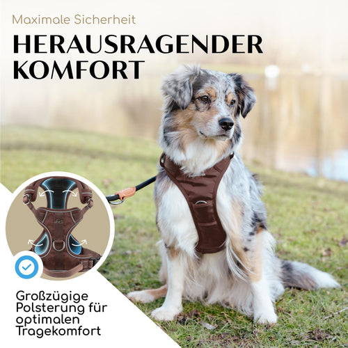 FREUDENTIER Clyde Hundegeschirr, Braun