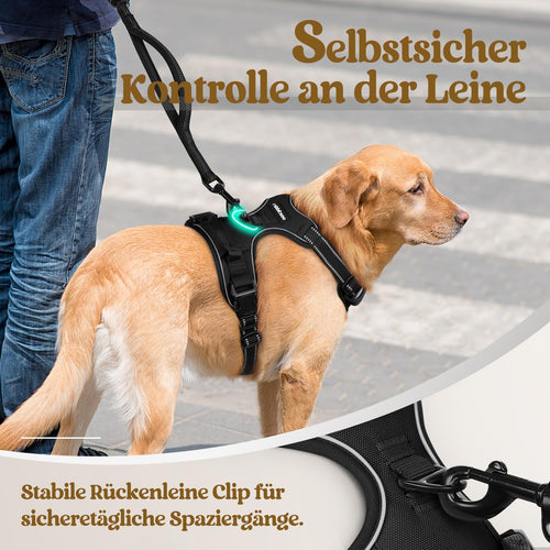 rabbitgoo Hundegeschirr mit Griff, Schwarz, Größe S